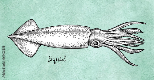Squid ink sketch on old paper.