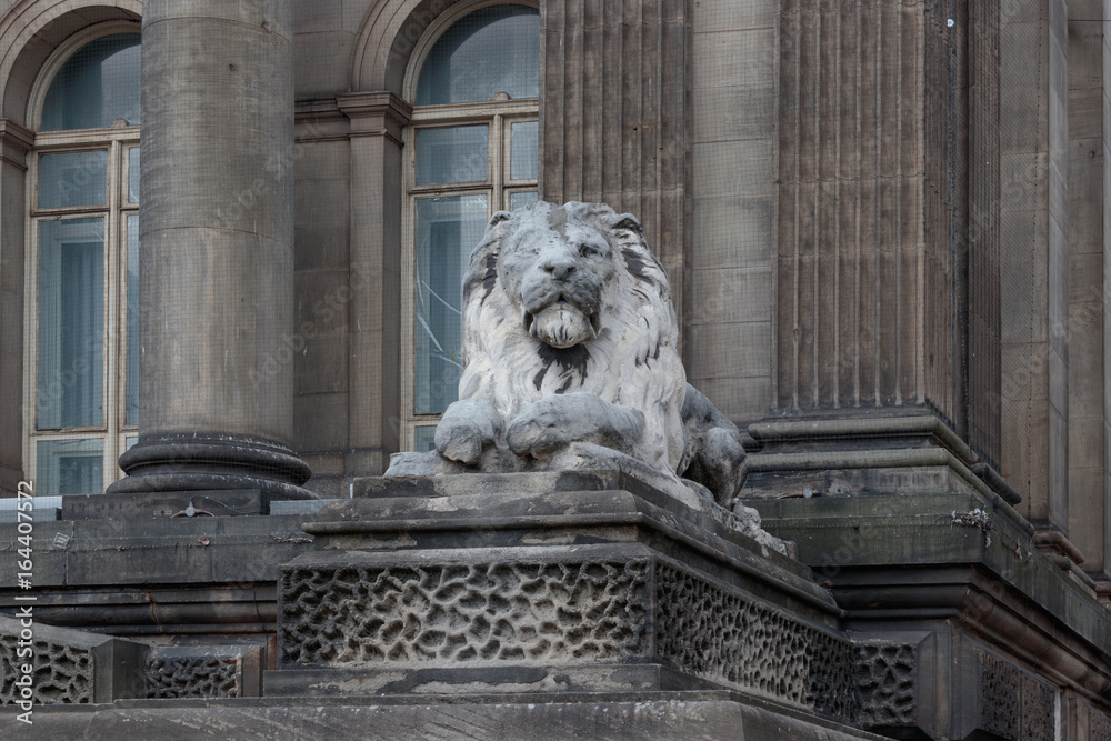 Wide Lion Leeds Town Hall