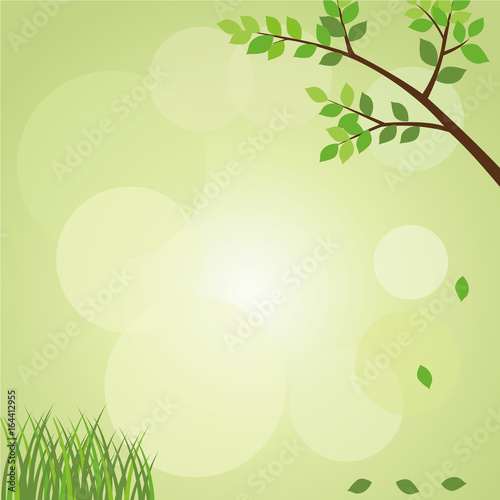 Leaf and Tree Background
