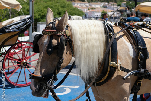 MIJAS, ANDALUCIA/SPAIN - JULY 3 : Horse and Carriage in Mijas Andalucía Spain on July 3, 2017. Unidentified people.