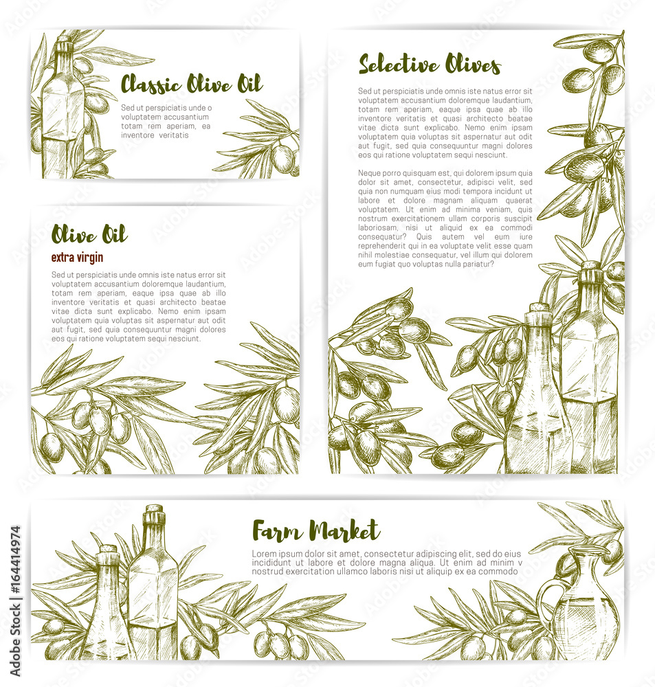 Olive oil extra virgin product vector templates
