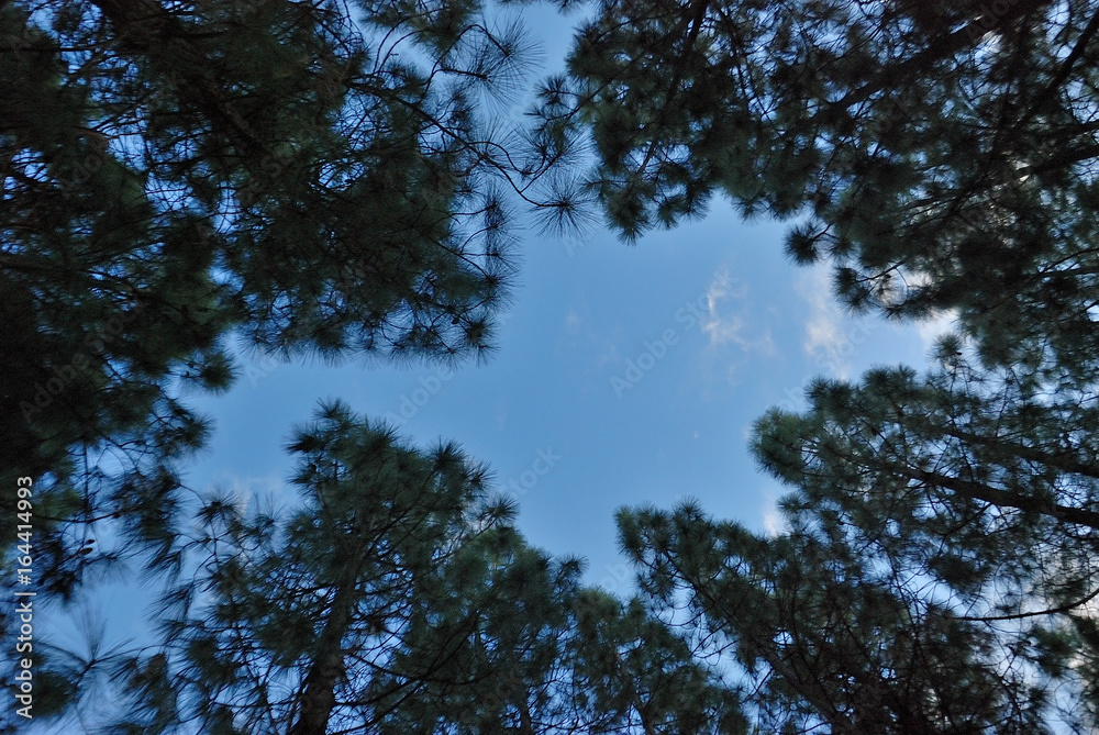 Obraz premium Sardegna e panorami