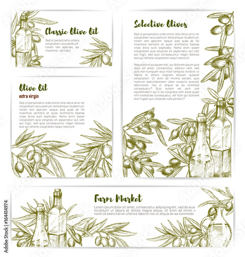 Olive oil extra virgin product vector templates