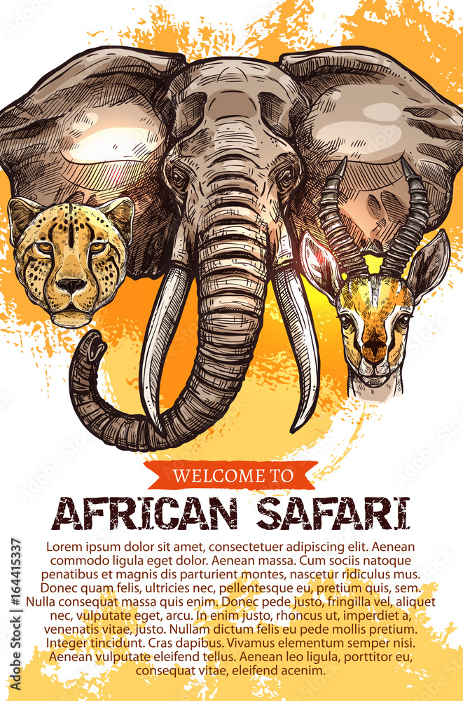 Fototapeta premium African safari hunting season club vector poster