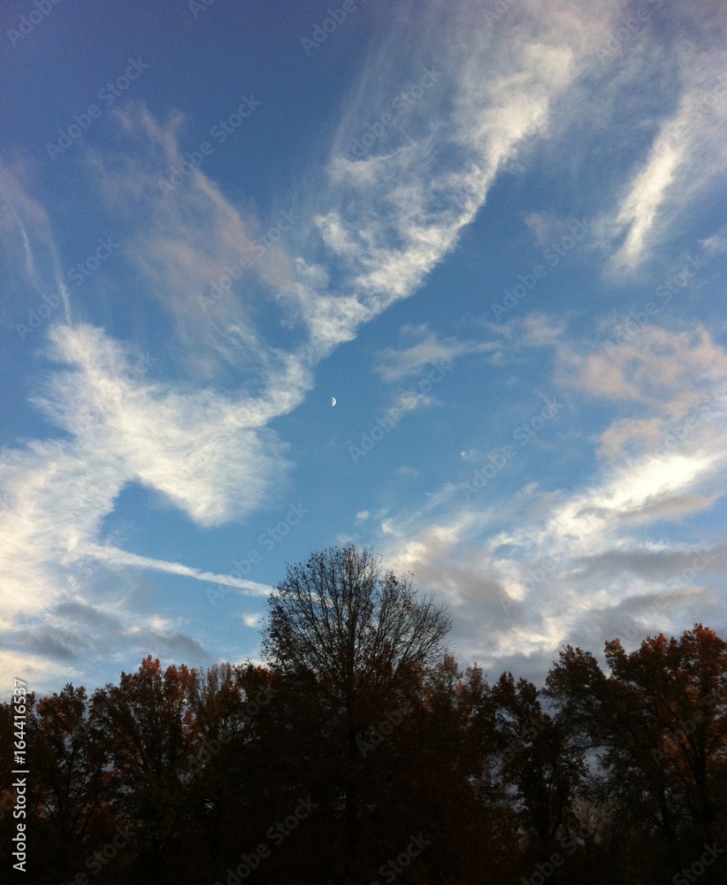 Blue Autumn Sky Blue Autumn Sky