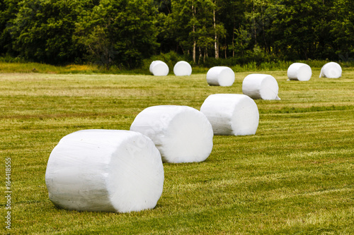 Bale of hay wrapped in plastic foil photo
