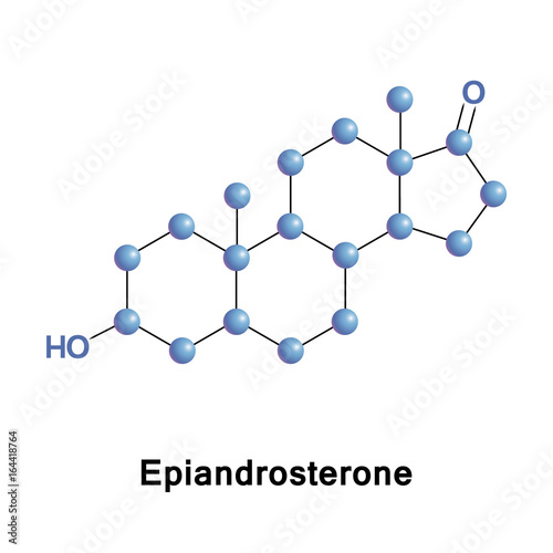 Epiandrosterone is a steroid hormone with weak androgenic activity. It is a metabolite of testosterone and DHT photo