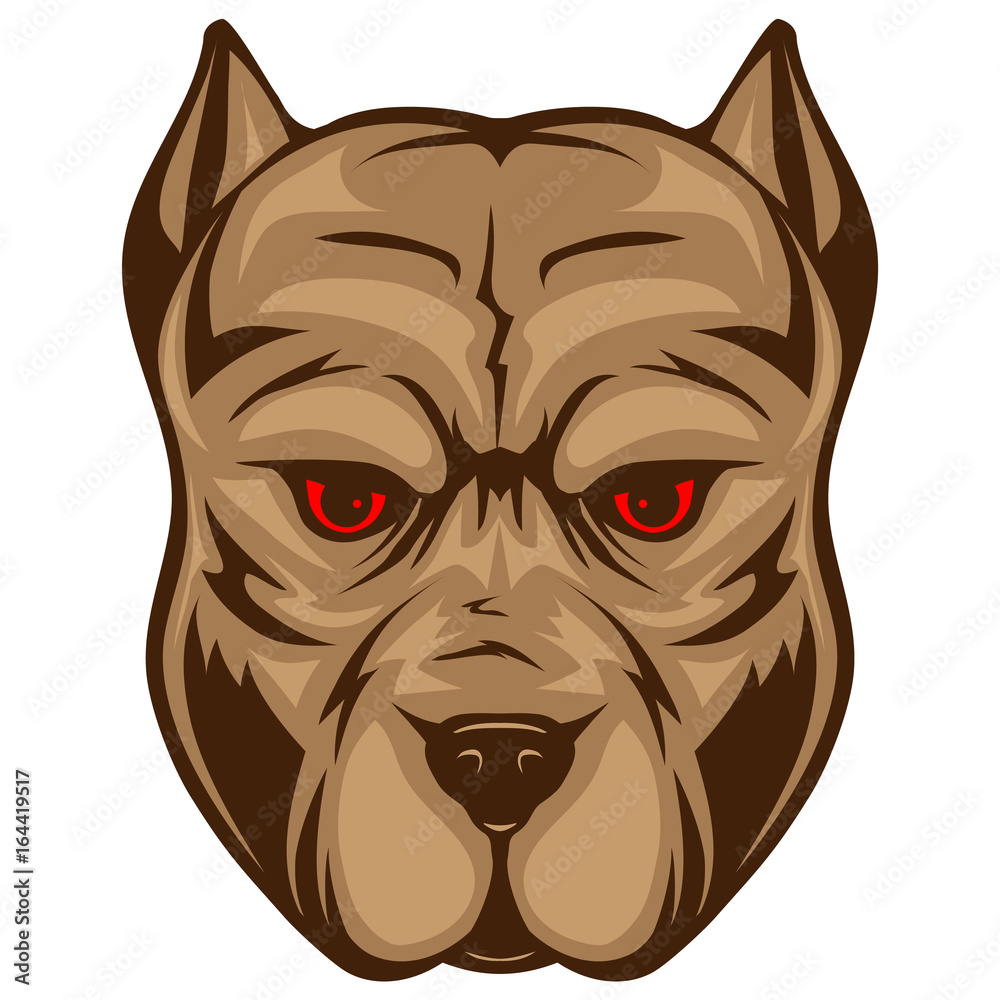 Obraz premium pitbull