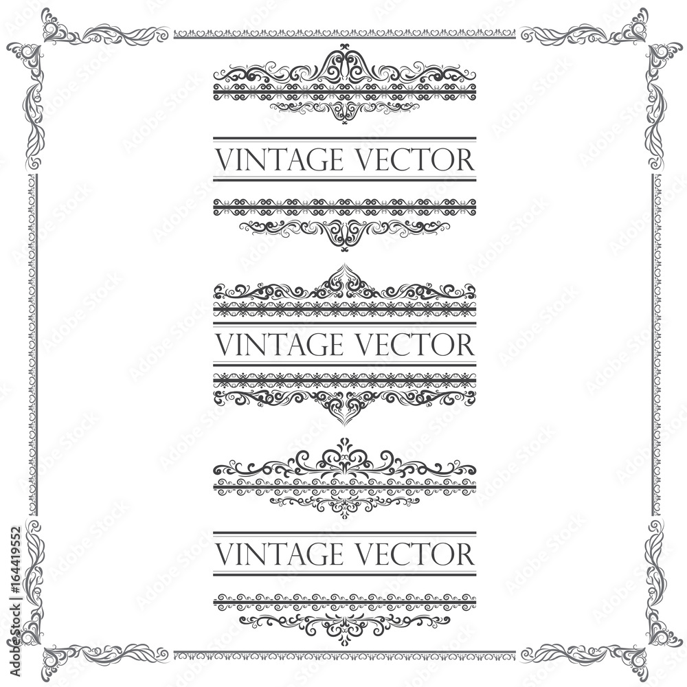 calligraphic vector of vintage ornamental decorative frame