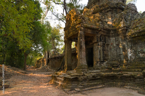 Fototapeta Naklejka Na Ścianę i Meble -  Preah Khan Temple, Angkor Wat, Cambodia
