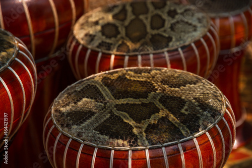 Snake skin on Djembe