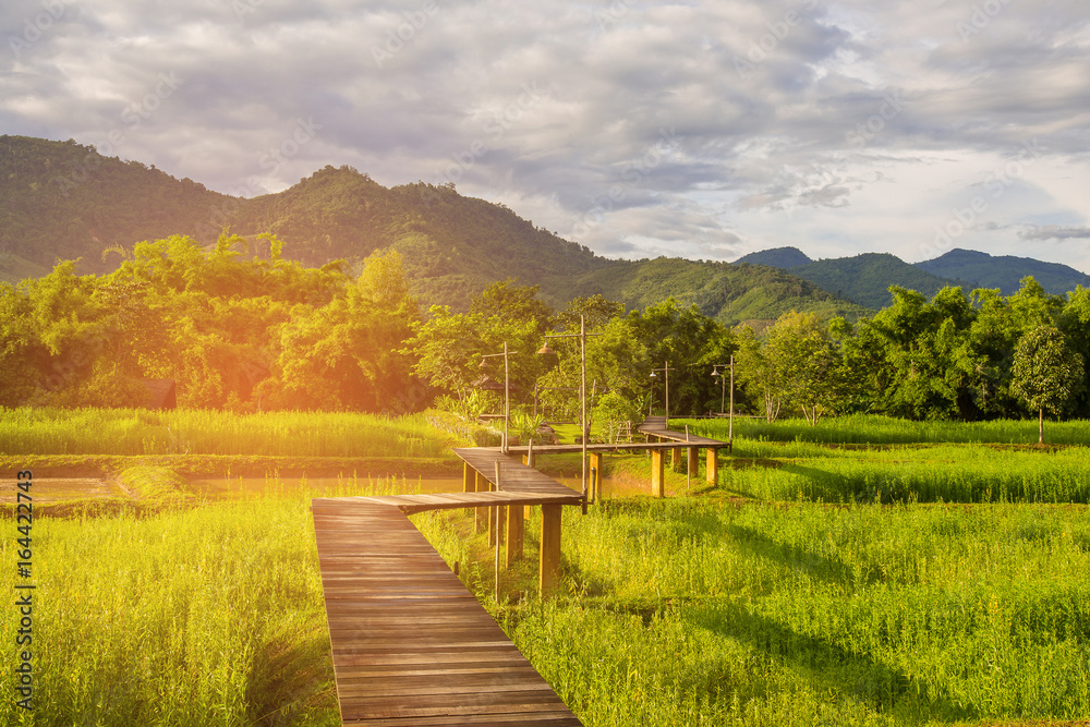 Wooden walking way leading over rice field with mountain background, natural landscape background