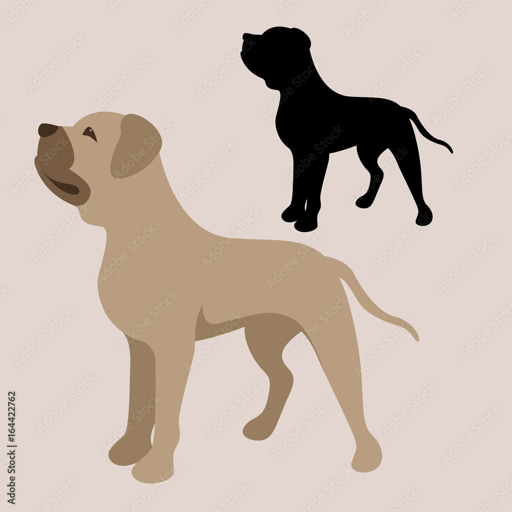 pitbull terrier vector illustration style flat black silhouette