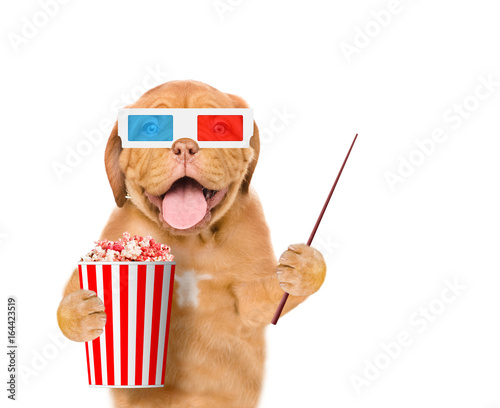 Funny dog in the 3d glasses with popcorn basket and pointing stick. isolated on white background © Ermolaev Alexandr