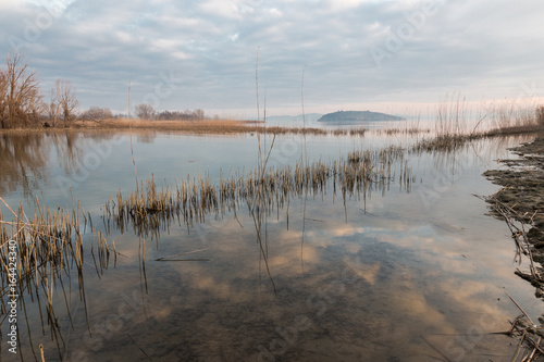 A lake shore at sunset  with beautiful sky and clouds reflections and a line of reeds diagonally dividing the frame