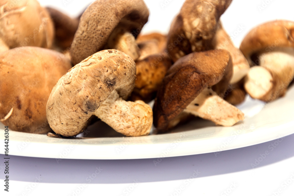 Shiitake Mushroom on white plate isolated on white Shiitake Mushroom on white plate isolated on white