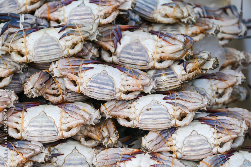 Crabs are sold in the Thai seafood market.