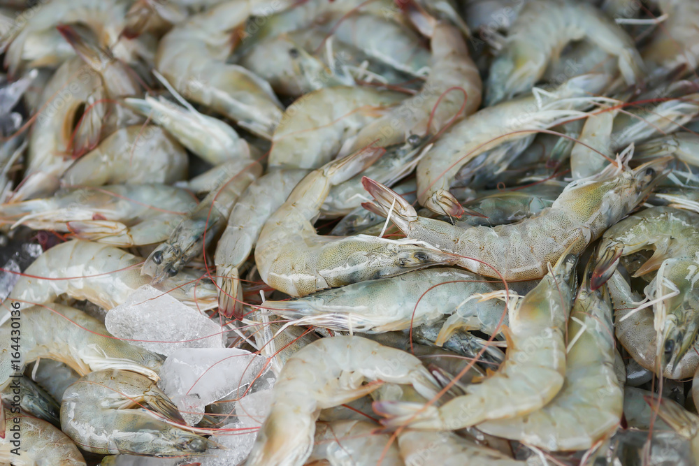 Shrimp is sold in the Thai seafood market.