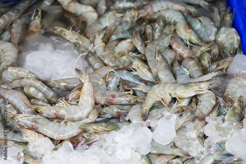 Shrimp is sold in the Thai seafood market.