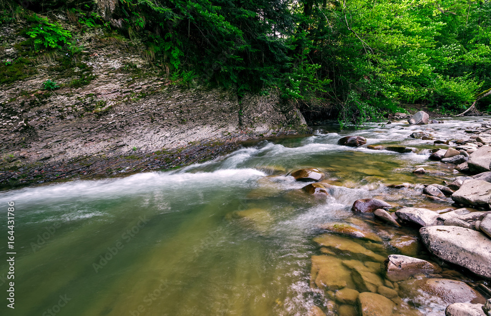 powerful green forest stream under the cliff powerful green forest stream under the cliff