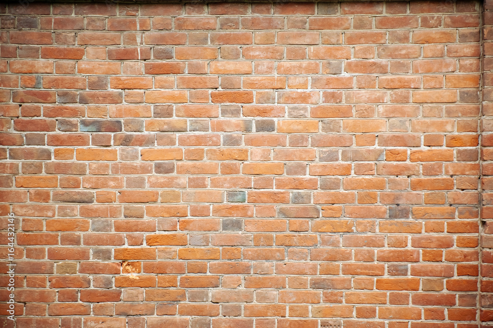 Fototapeta premium Old brick painted wall.