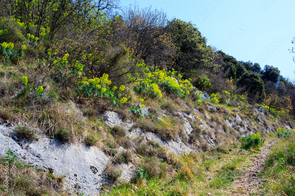 View of countryside road