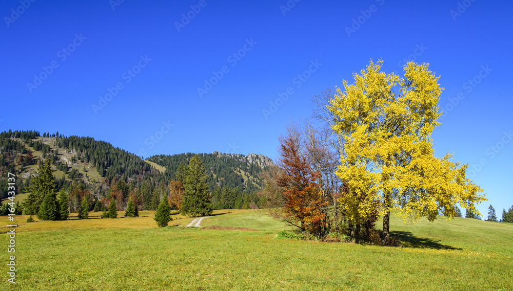 Herbst im Gebirge Herbst im Gebirge