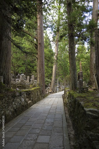 A path through the Okunoin ancient Buddhist cemetery in Koyasan, Japan.