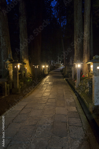 Obraz na płótnie A path through the Okunoin at night in ancient Buddhist cemetery in Koyasan, Japan. w salonie