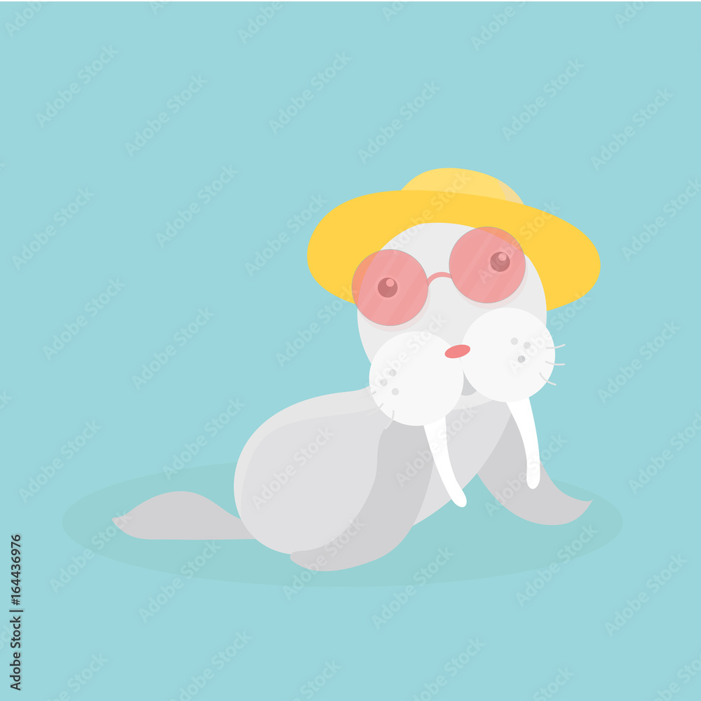 Fototapeta premium Cute sea lion.