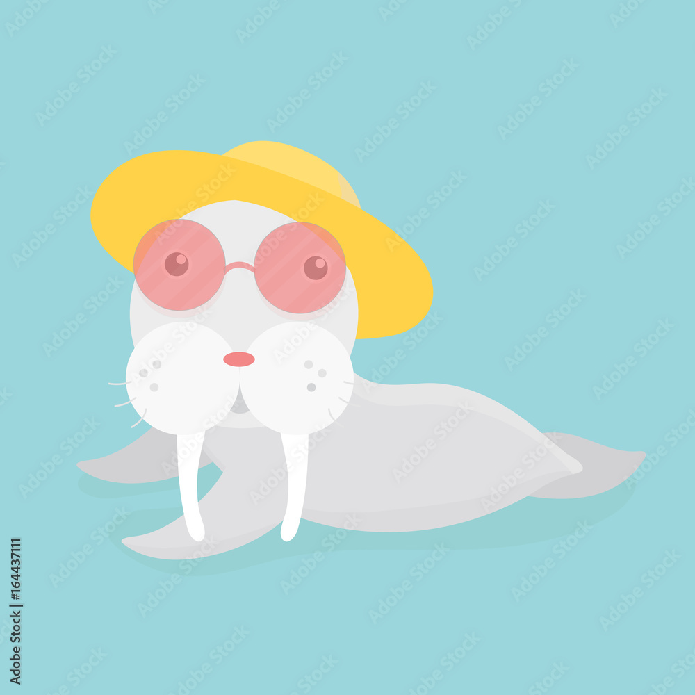 Obraz premium Cute sea lion.