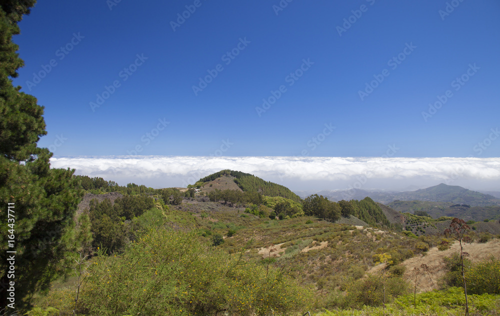 Gran Canaria,  July