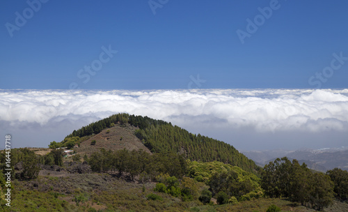 Gran Canaria   July