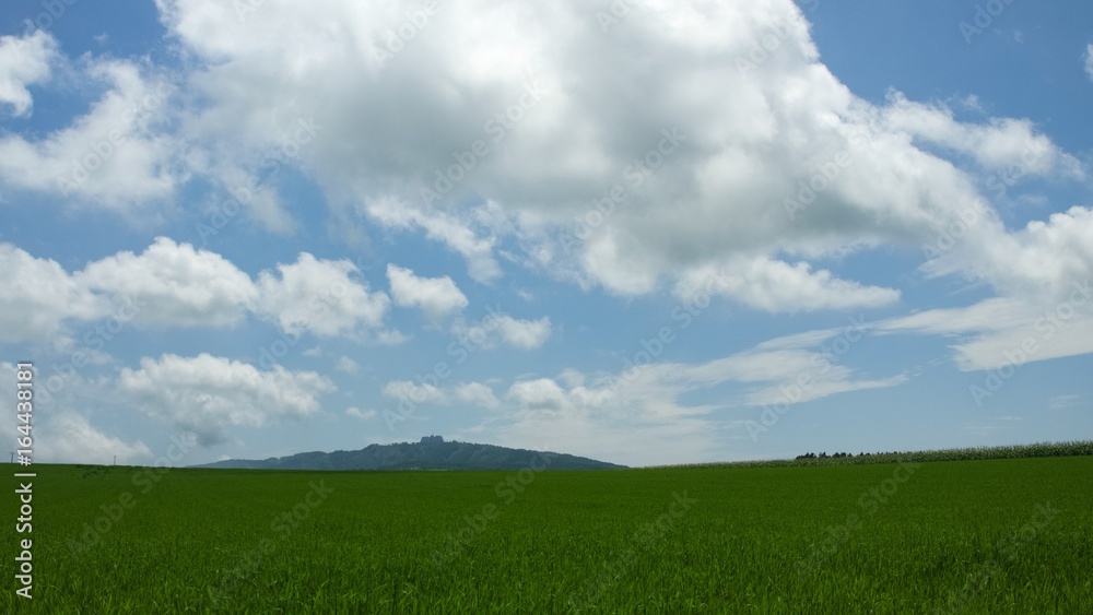 夏の北海道　草原風景