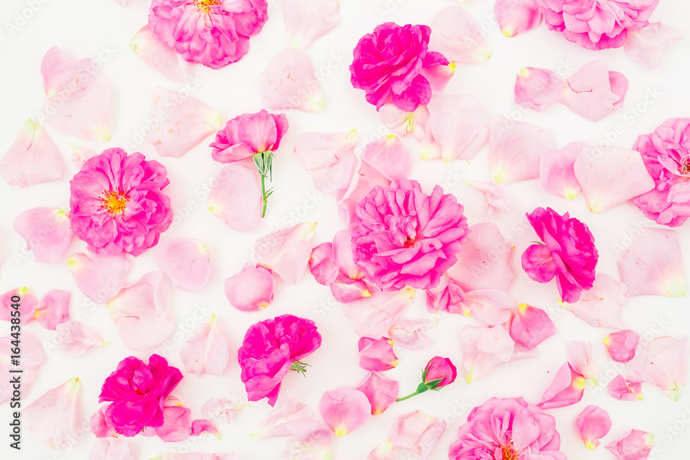 Floral pattern of pink roses and petals on white background. Flat lay, top view