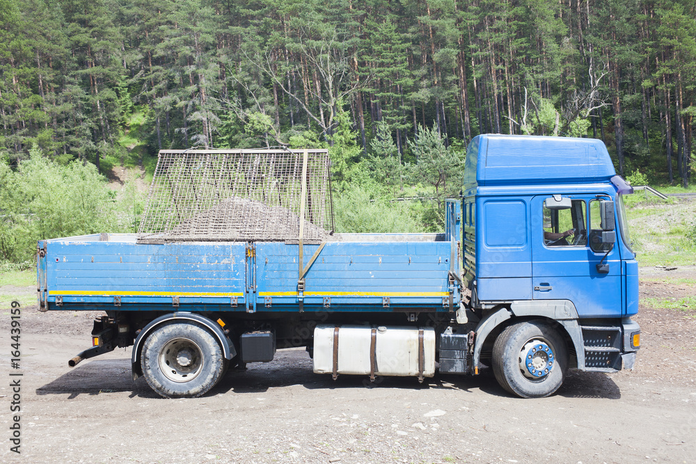 blue truck on the countryside