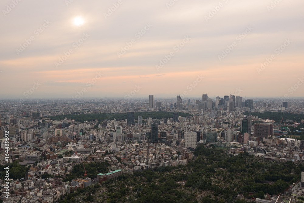 Aerial view of the Skyline of Tokyo, Japan