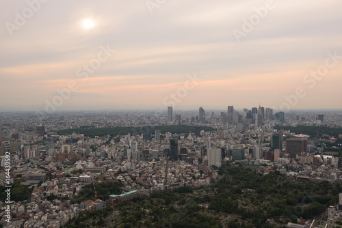 Aerial view of the Skyline of Tokyo, Japan © nielsvos