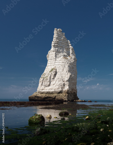 L'Aiguille also known as the Needle, a chalk formation at Etretat, a commune in the Seine-Maritime department in the Normandy region of north western France