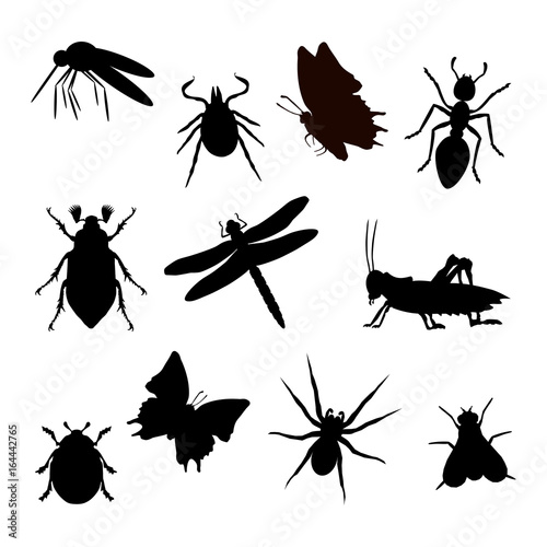 Insekten Silhouetten schwarz