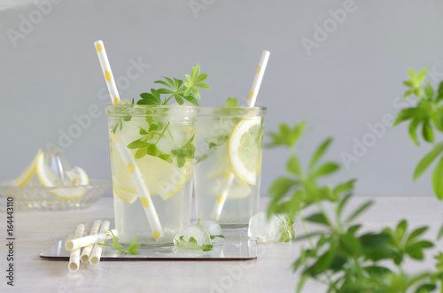 Waldmeister- Zitronen- Limonade
