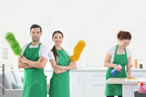 Cleaning service team working at home