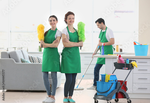 Cleaning service team working at home