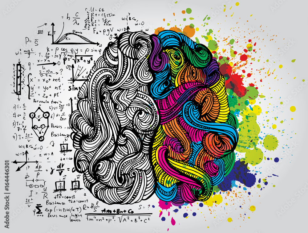 Left and right human brain. Creative half and logic half of human mind. Vector illustration. - obrazy, fototapety, plakaty 