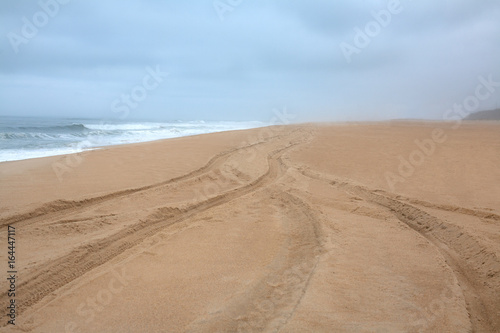 Storm and deserted beach of the ocean in Portugal  Atlantic