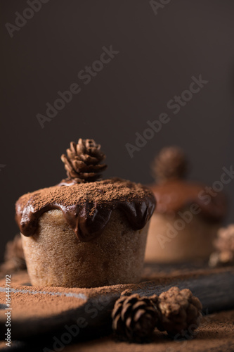 Chocolate muffins, decorated with a small cone on a dark wooden background. Cupcakes are poured with dark chocolate and cocoa powder. Cupcakes with unusual decoration. Low key