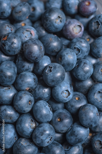 Blueberry background. Ripe and juicy fresh picked blueberries closeup