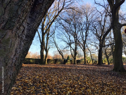 A typical Autumn day in Leeds, United Kingdom.