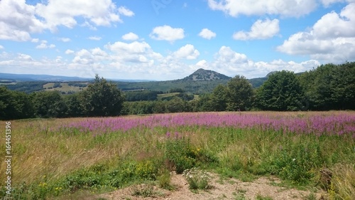 paysage coloré au mont gerbier du jonc photo