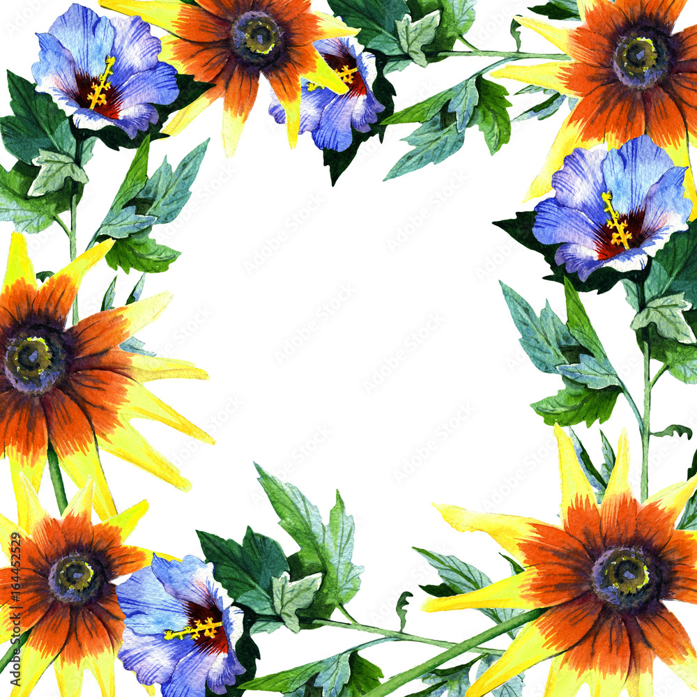 Obraz premium Wildflower sunflower flower frame in a watercolor style. Full name of the plant: sunflower. Aquarelle wild flower for background, texture, wrapper pattern, frame or border.